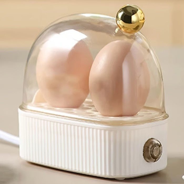 automatic-electric-egg-cooker-2-egg-3-adjustable-heat-settings-img5.jpg