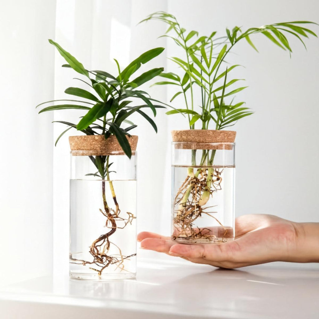 clear-glass-propagation-vase-with-natural-cork-lid-img1.jpg