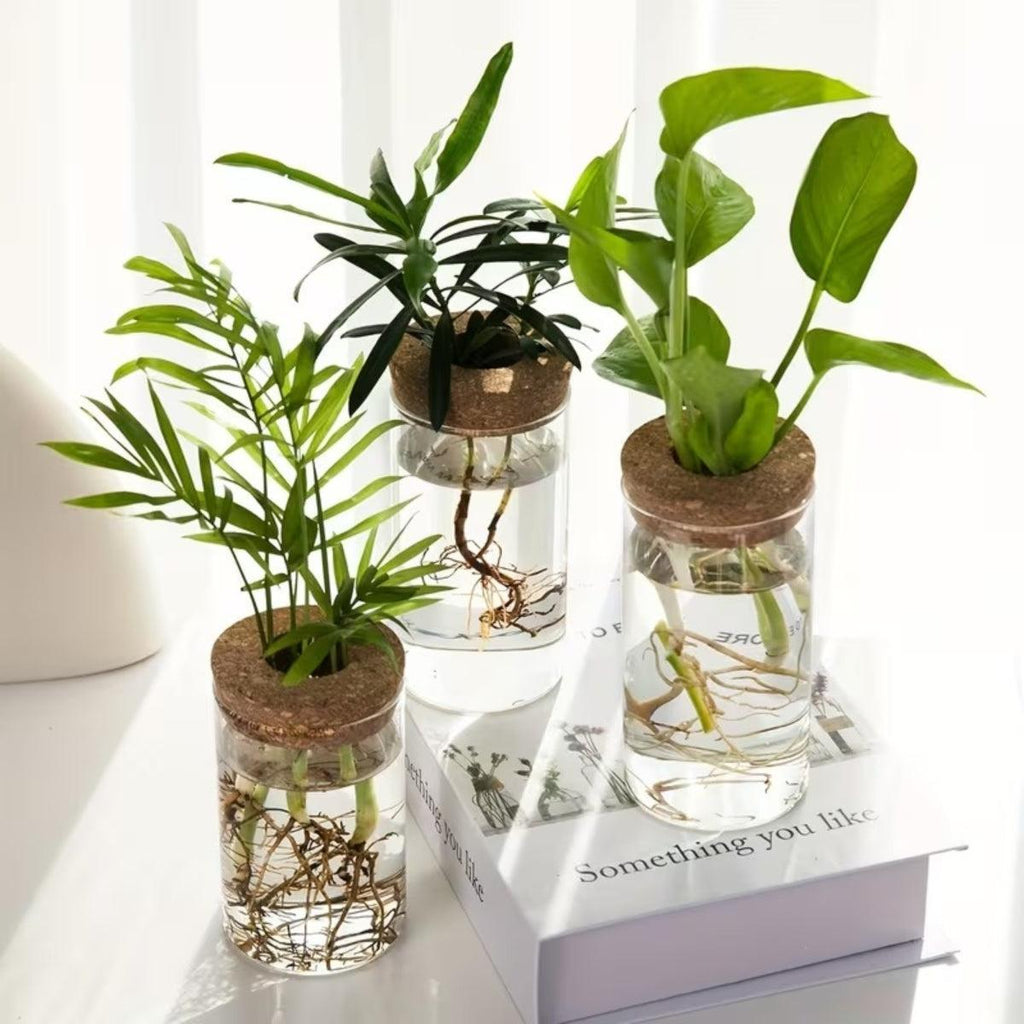 clear-glass-propagation-vase-with-natural-cork-lid-img2.jpg