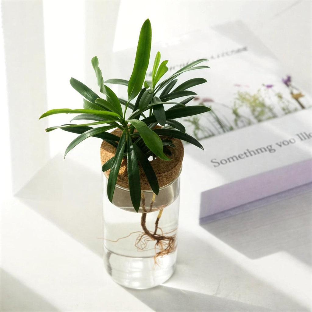 clear-glass-propagation-vase-with-natural-cork-lid-img4.jpg