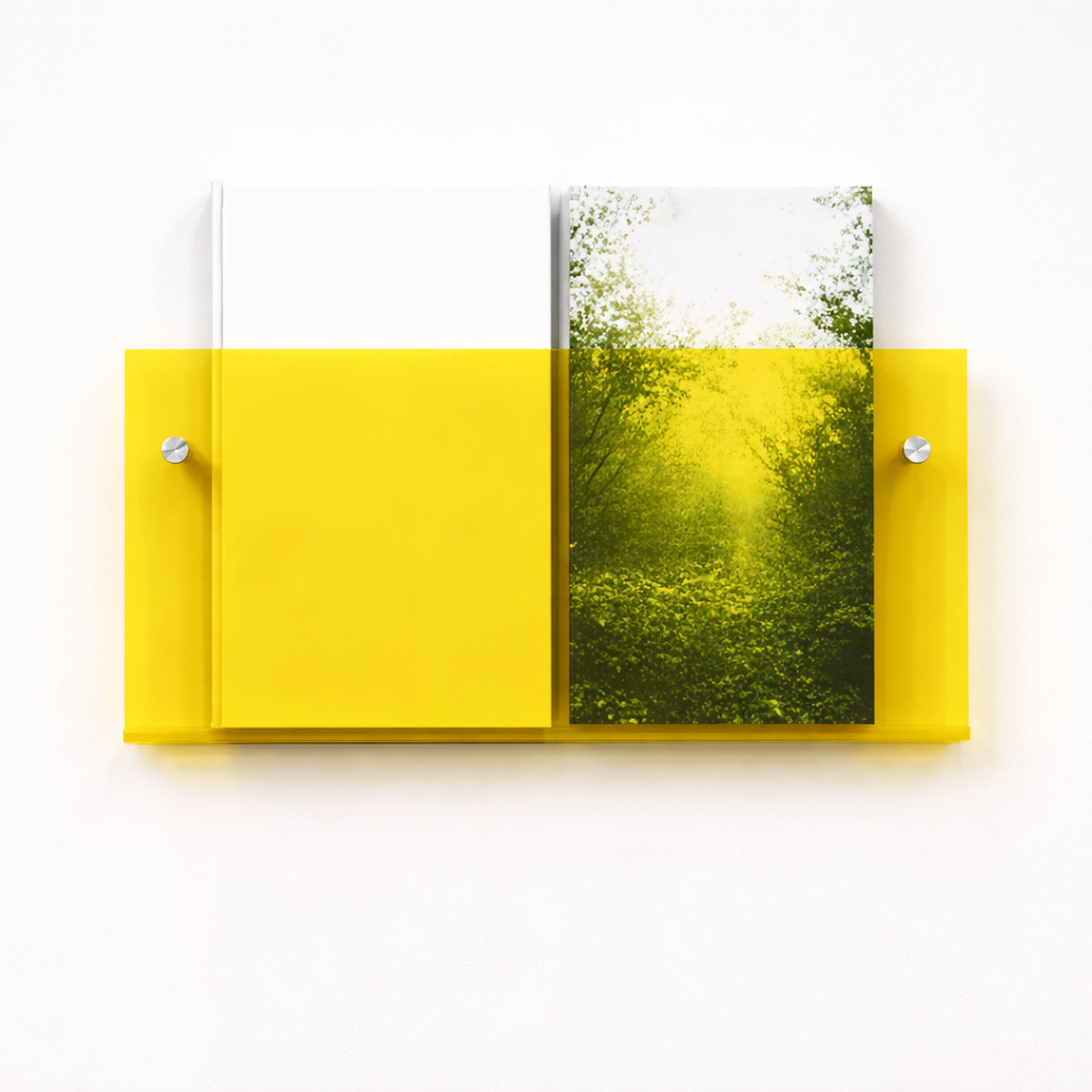 floating-acrylic-wall-shelf-for-magazine-display-img8.png