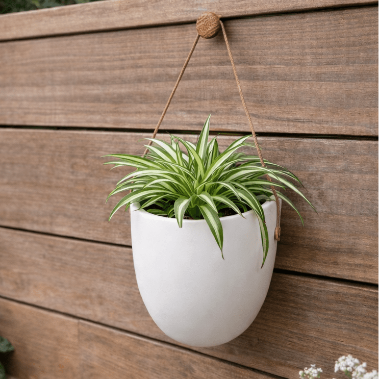 minimalist-wall-planter-for-succulents-and-small-plants-img1.png
