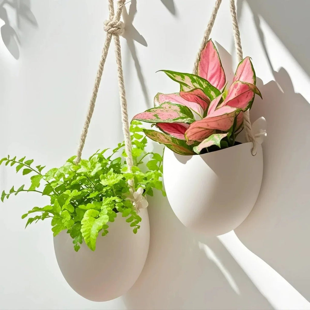 minimalist-wall-planter-for-succulents-and-small-plants-img3.jpg