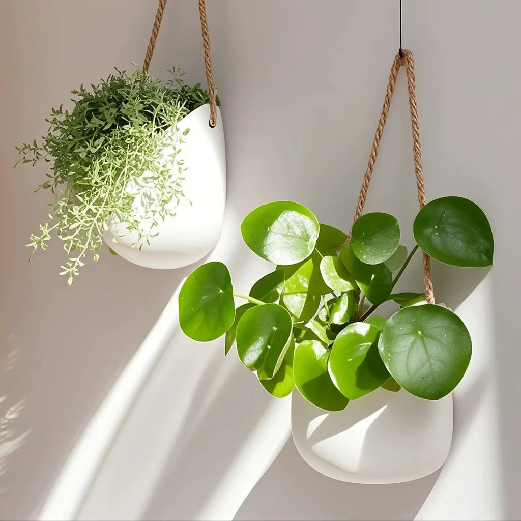 minimalist-wall-planter-for-succulents-and-small-plants-img4.jpg