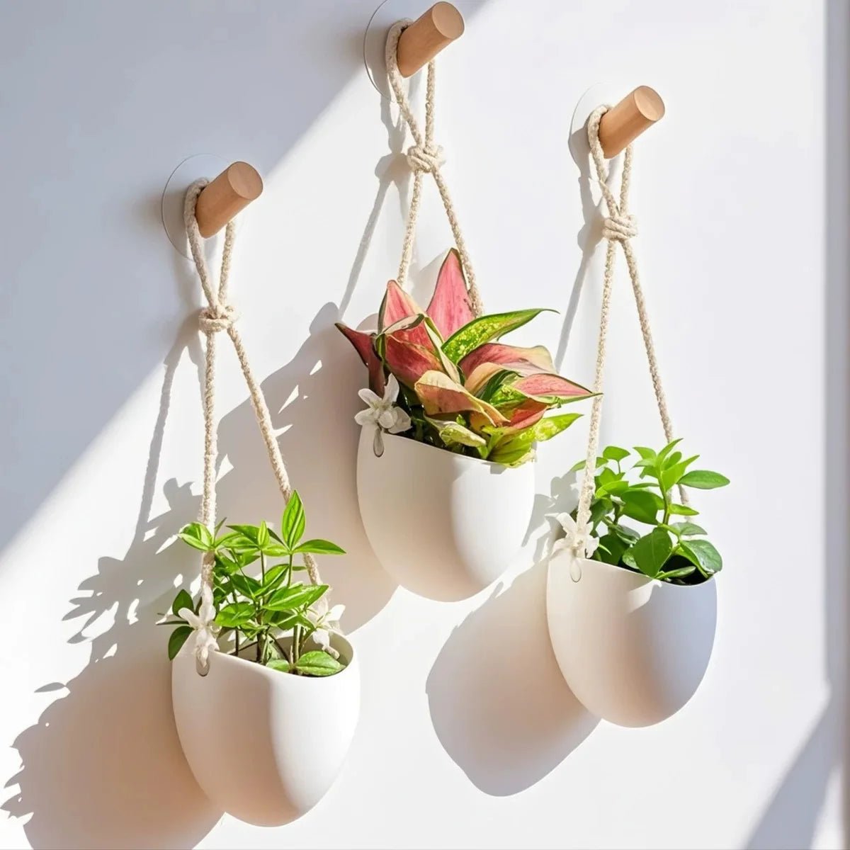 minimalist-wall-planter-for-succulents-and-small-plants-img6.jpg