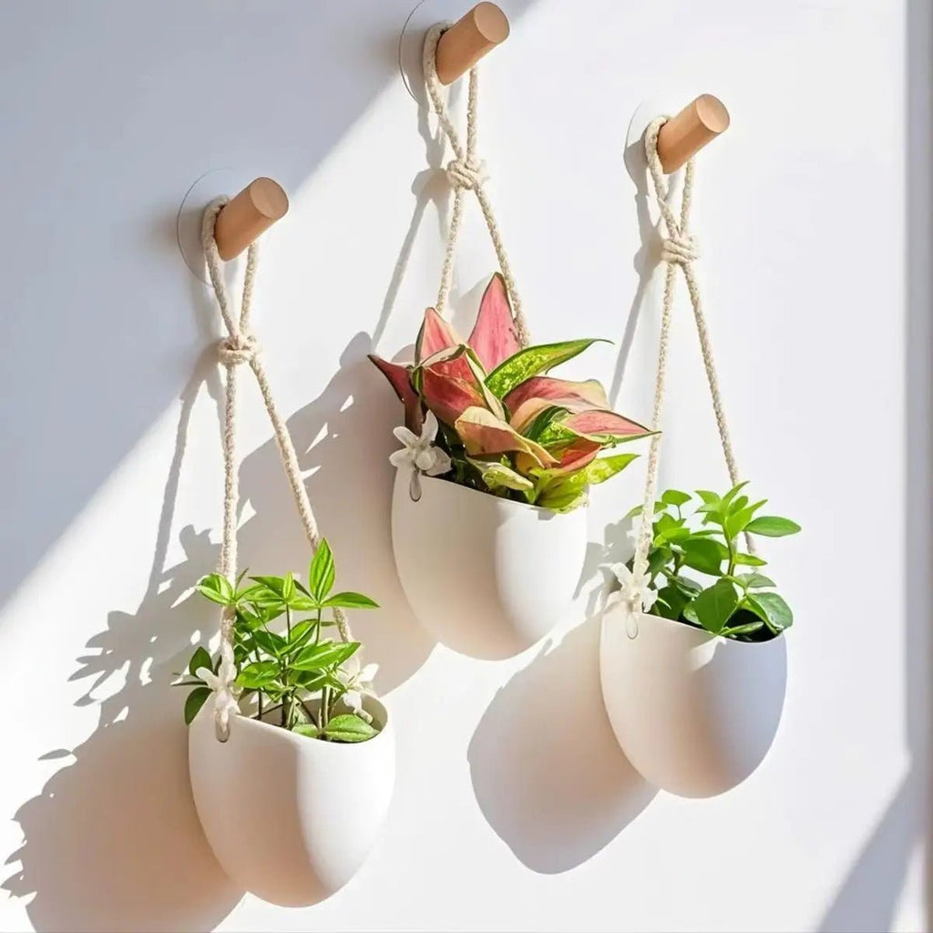 minimalist-wall-planter-for-succulents-and-small-plants-img8.jpg